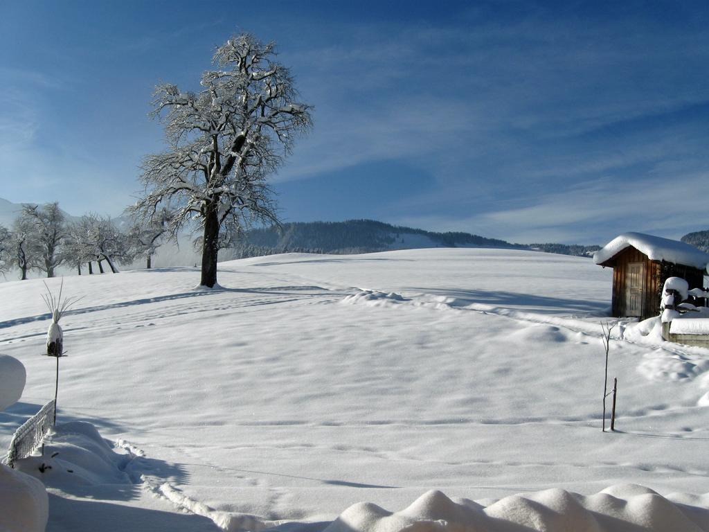 Villa Schweizer Hof Schwarzenberg im Bregenzerwald Esterno foto