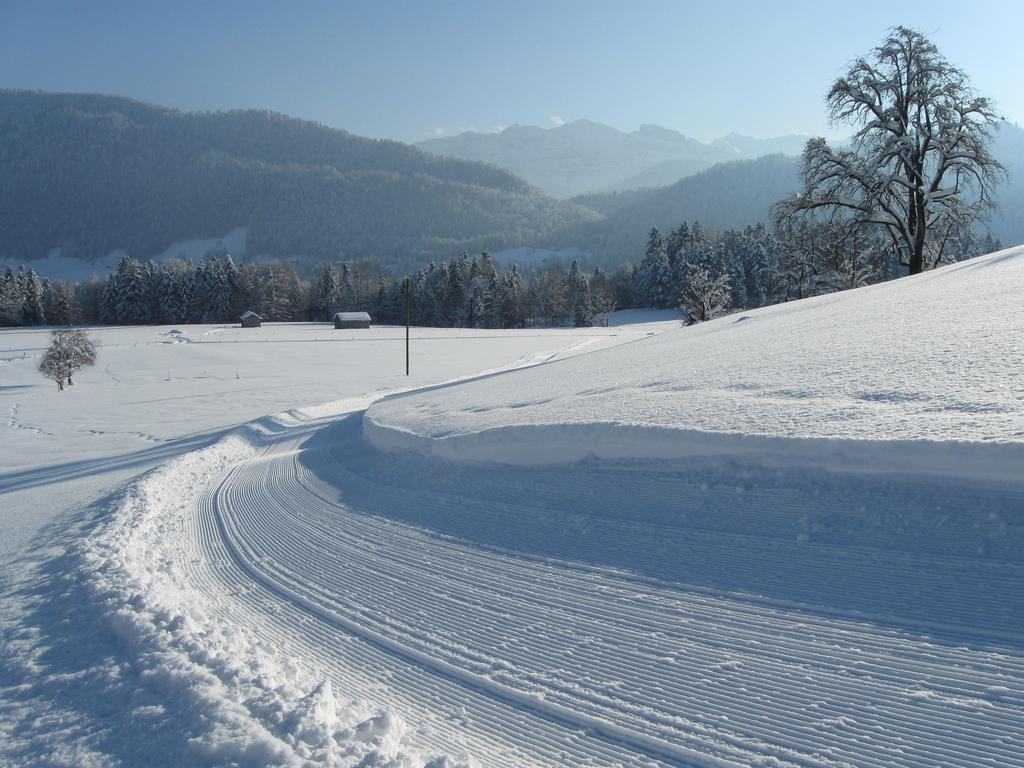 Villa Schweizer Hof Schwarzenberg im Bregenzerwald Esterno foto